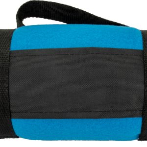 Koc z polaru