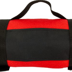 Koc z polaru