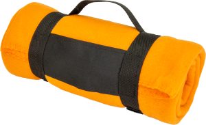 Koc z polaru