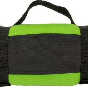 Koc z polaru